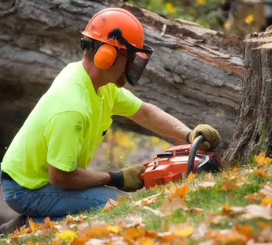 tree services Edenton